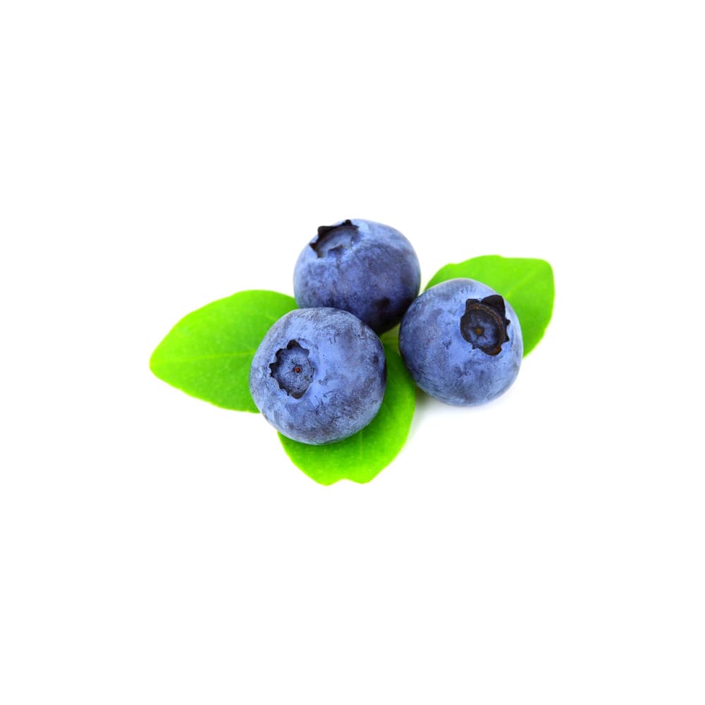 Blueberry (Arándano)